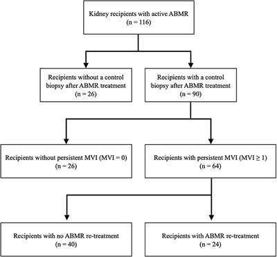 Influence of Persistent Inflammation in Follow-Up Biopsies After Antibody-Mediated Rejection in Kidney Transplantation